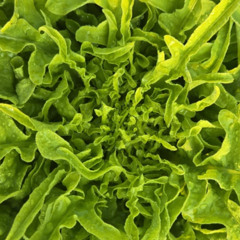 to the ones that you love