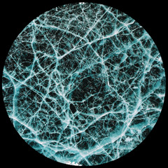 Indigo System