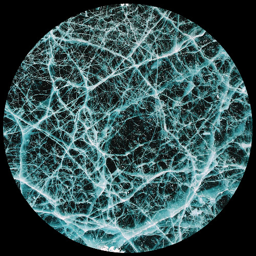 Indigo System