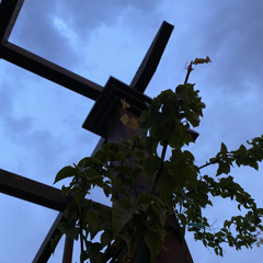 وشكثر كنت وافي واقرب الناس خان                                        بس اثق فيك حتى لو عيوني تدينك.