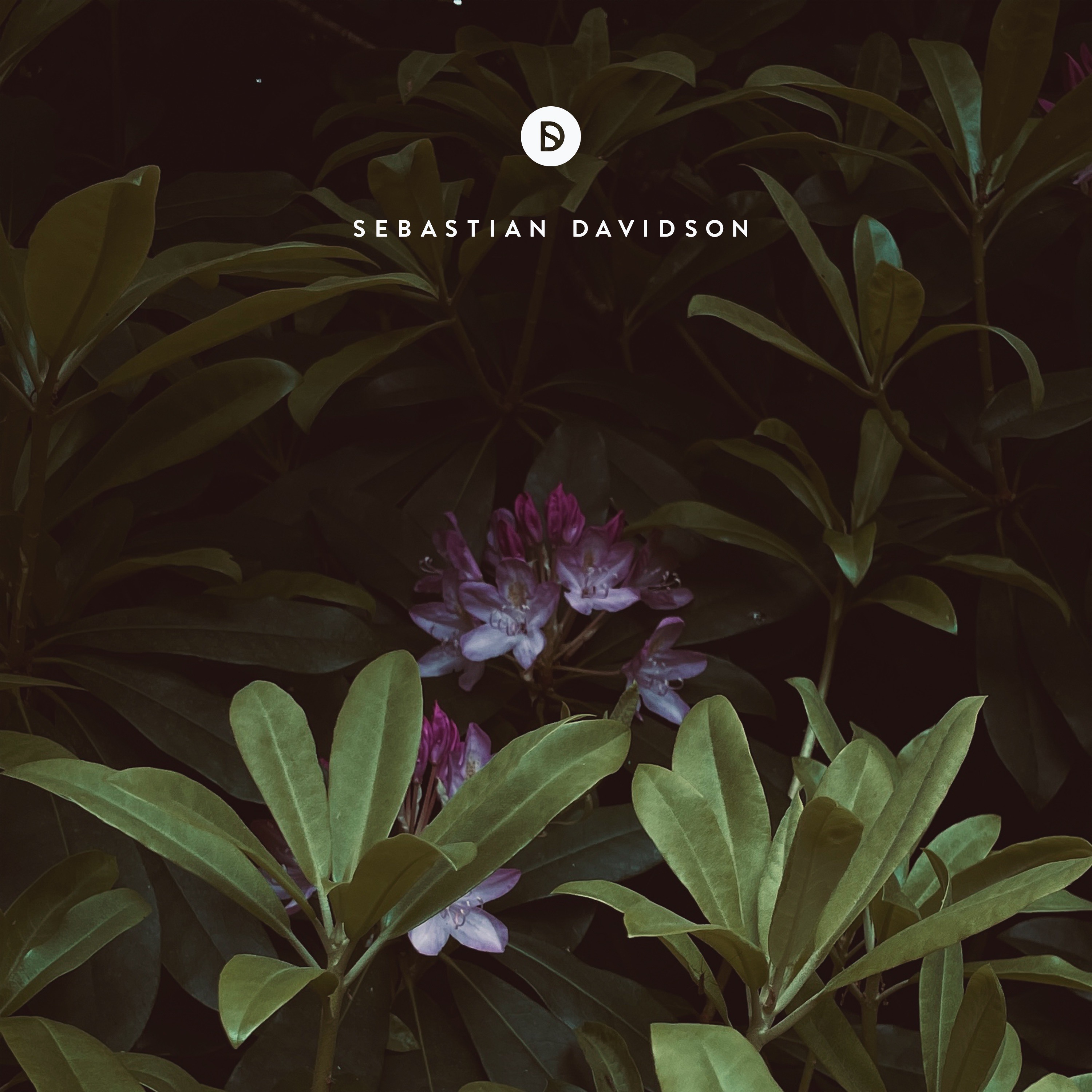 Voyage of Discovery by Sebastian Davidson