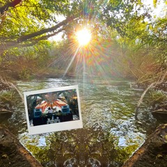 Streamside Sunset @ Moontribe 31st Anniversary