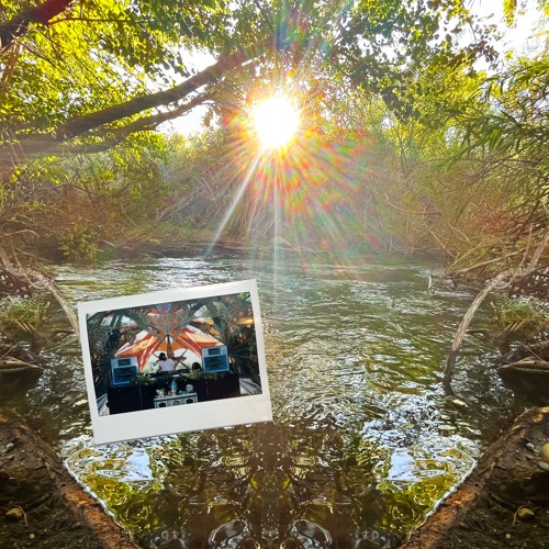 Streamside Sunset @ Moontribe 31st Anniversary