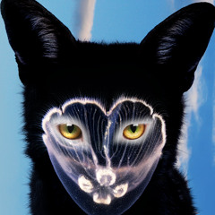 RUNAWAY 145BPM F#MIN