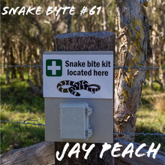 Snake Byte #61 03 11 23