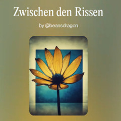 Zwischen den Rissen