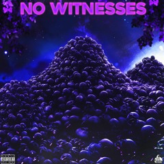 No Witnesses (Prod. Leyzer)