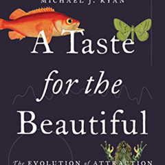 free KINDLE 💗 A Taste for the Beautiful: The Evolution of Attraction by  Michael J.