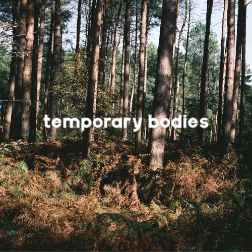 Temporary Bodies 'Transformations in K'