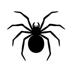 Audio Portrait V3 Soler