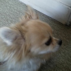 Hallelujah - 1:04:24, 5.56 PM