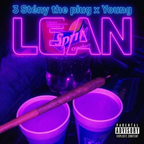 3_Stény_the_plug+Young flow-LEAN