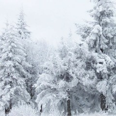 Clams Casino - Treetop (slowed)