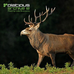 Platipus Records - Archives