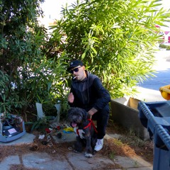 VITRINE @ VENENO LIVE - OLTREFUTURO