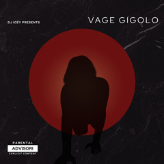 VAGE GIGOLO (REMIX)