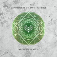 WTHI105 - David Hasert &  Shlomi - Patience (Original Mix)