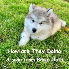 How are They Doing_ - 2025-09-22 14.21