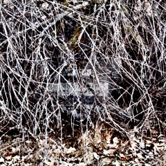 ping pong match inside an ecstasy retirement home