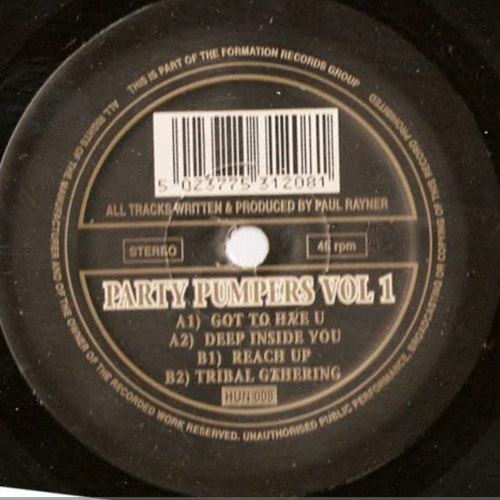 Paul Rayner - Got To Have U