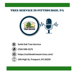 does-fema-cover-tree-removal-expenses-in-pa