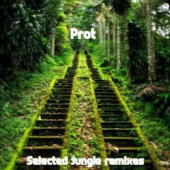 Parly B - Galang (Prot Rmx)