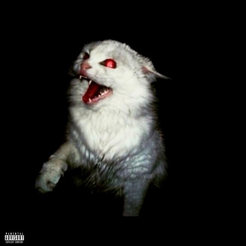 Intro
