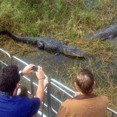 Review Special Price Florida Everglades Airboat Tour And Wild Florida Admission With Optional Lunch