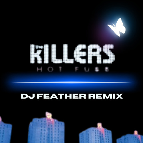 Mr. Brightside Remix