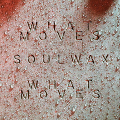 What Moves (Soulwax Remix)