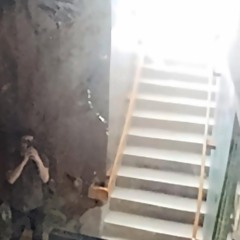 came_in_new - jvissy [cut]