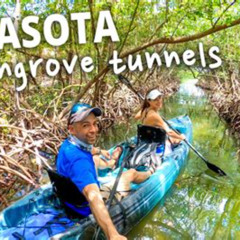 Review Special Price Mangroves Manatees And A Hidden Beach: Kayak Tour