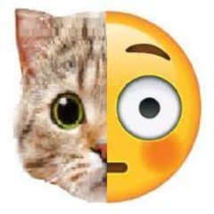 Erik Aharzoth Mix/Thing I Found