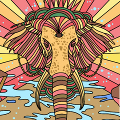 NymphaDj/DürerKert/Totem Tribe