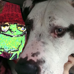 guess who is already not pulling on the leash GARVEY that's who