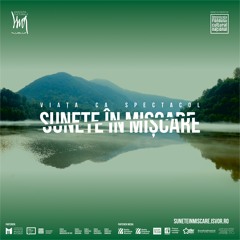 Sebastian Androne-Nakanishi - În Zgomot Alb