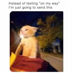 Logan Carnes & Wickedsickmafia - SRT