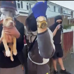 Kfrmda4 - TRAP LOADS