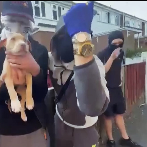 Kfrmda4 - TRAP LOADS