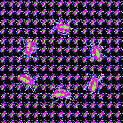 INFESTATION
