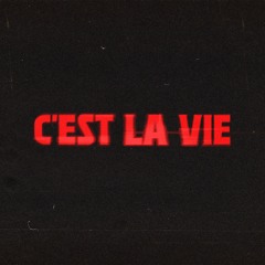 Sebastian Wibe - C'EST LA VIE (Extended Mix)