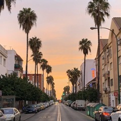 Kolonoscope all stars - Su Eminencia Vice