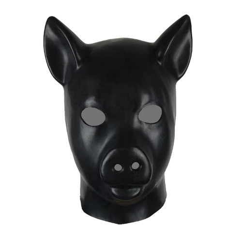 Hypnopig