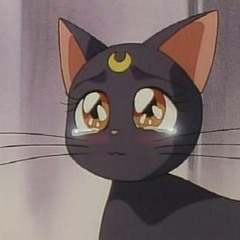 *free for non profit* playboy carti + frank ocean type beat