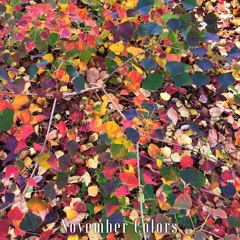 November Colors
