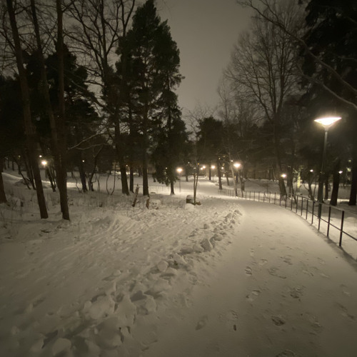 bodyhigh - Jaydes only