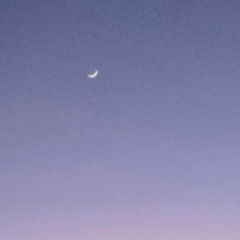 johncena (prod. Suzukki)