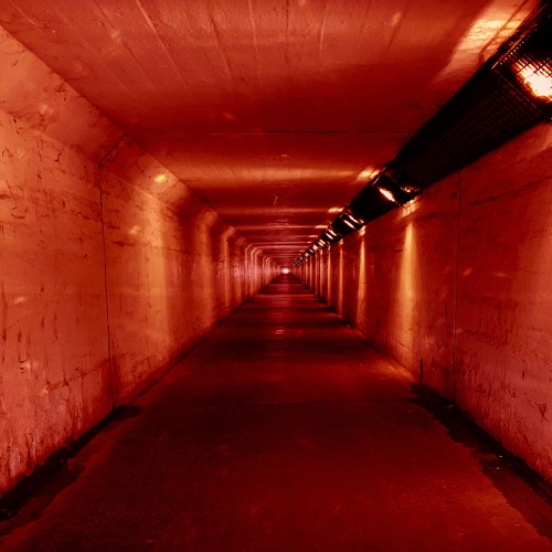 TUNNEL 044 - The Aurem (Tétraèdre Records)