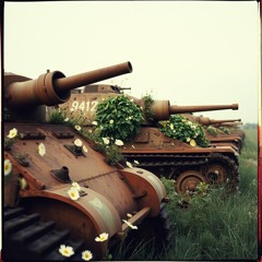 Expend your passions for non-violence (3).mp3