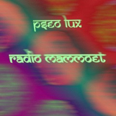 Pseo Lux ｜ Radio Mammoet 1 - Mar 17 ⧸ 2023